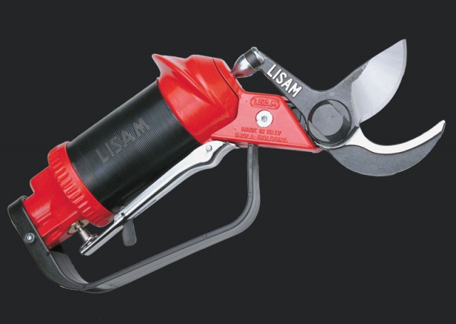 Ψαλίδι αέρος για δέντρα LISAM  